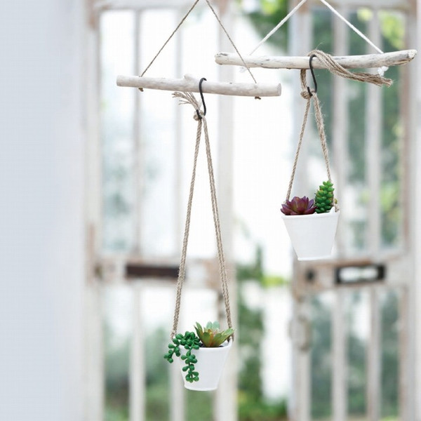 観葉植物　サボテンを枯らしてしまう人の為に。フレグランスオイル付き ！インテリアにも！