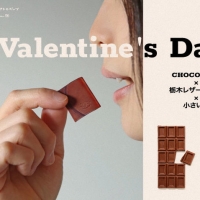 バレンタイン限定！栃木レザー100%のまるでチョコレートみたいな小さいふギフトボックス発売 。