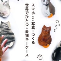 【猫好きが必ず喜ぶ贈り物】猫の写真を使ったオリジナルギフトを贈ろう。