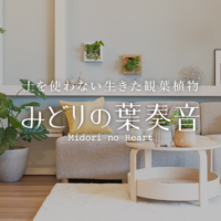 土を使わない生きた観葉植物専門店「みどりの葉奏音(ハート)」 4月27日にコピス吉祥寺に期間限定ポップアップストアを開設