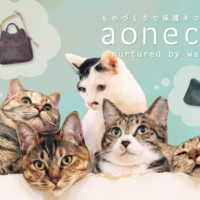 “保護ネコ支援プロジェクト”aoneco  今夏イベント2か所同時出店が決定！