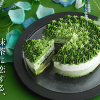 抹茶好きのための極上アイスケーキ 「濃厚宇治抹茶アイスケーキ2022」