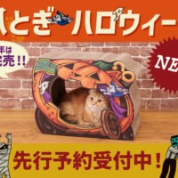 SNSで話題沸騰！昨年即完売！人気ペットグッズ「爪とぎ」シリーズ、数量限定の新作