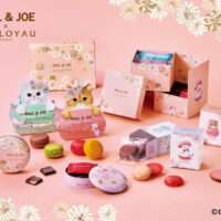フランス洋菓子の「DALLOYAU」と フランス、パリ生まれのブランド「PAUL ＆ JOE」が初コラボ！ 可愛らしい3匹の猫をデザインしたスイーツを1/10より発売