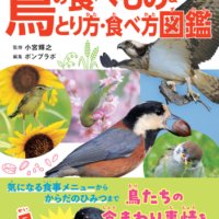 あの鳥、なにを食べているの？　鳥たちの謎多き食卓事情にせまる！『鳥の食べもの＆とり方・食べ方図鑑』