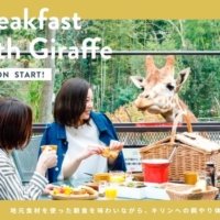 キリンと一緒に朝食を楽しめるプランを再開 【動物園×グランピングのTHE BAMBOO FOREST】