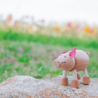 ころんとまるいデザインが魅力のサスティナブルな 木製おもちゃ「アナマルズ」日本ECサイトがオープン