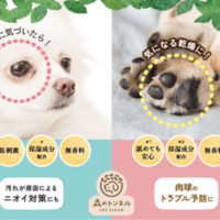 コスメ会社が作った犬用スキンケアコスメ！「森のトンネル 涙やけ拭き 取りジェル」「森のトンネル 肉球保湿ジェル」