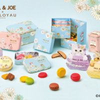 フランス洋菓子の「DALLOYAU」と フランス、パリ生まれのブランド 「PAUL ＆ JOE」のコラボ第二弾！