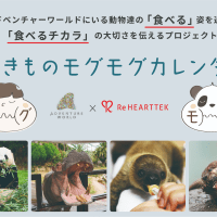 『いきものもぐもぐカレンダー』を「アドベンチャーワールド」とコラボして制作・公開