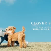 ジョイフル本田が運営するペット専門店 「Pet’s CLOVER 伊勢崎田中島町店」が6月4日オープン　 ～社会問題と向き合う犬猫生体の新提供スタイル 「CLOVER STEP」始動～
