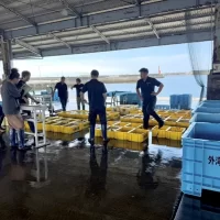 漁師と食卓を結ぶ、新しい魚の流通モデル 「UOLOVE(うおらぶ)」8月11日(月・祝)に開始