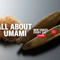 業務用削り節製造の小林食品から世界へ和食・鰹節を紹介　 YouTubeチャンネル「All About Umami」を開設、動画配信開始