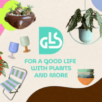 植物と暮らしの雑貨店「GOOD LIFE STORE」が4月30日、公式オンラインショップをオープン。曳舟の実店舗で人気の一点物の植物やインテリア雑貨を全国へ
