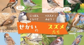 世界中で愛される28種のスズメ。その表情、しぐさ、個性を大紹介！『せかいのスズメ』5月7日発売