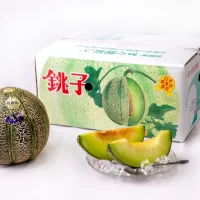 “幻のメロン”銚子メロン、 6月1日今季出荷開始　銚子の初夏の風物詩