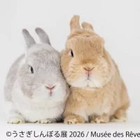10周年“うさぎの祭典”が開幕！200点超の作品＆限定グッズが集結 「うさぎしんぼる展 2026」9/18(金)から東京で開催